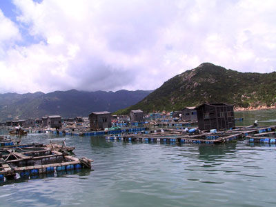 ��Ʒ������