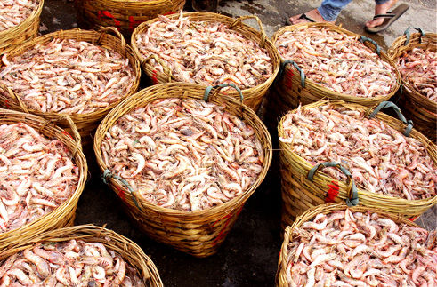 ��Ʒ������