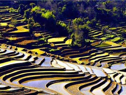 ��Ʒ������