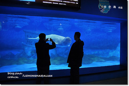 ��Ʒ������