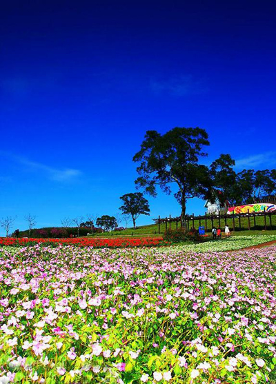 ��Ʒ������