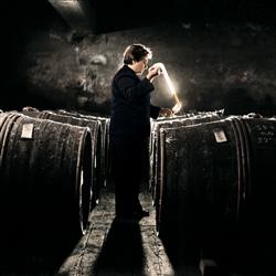 ��Ʒ������