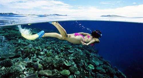 ��Ʒ������