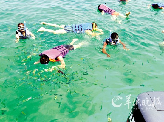 ��Ʒ������