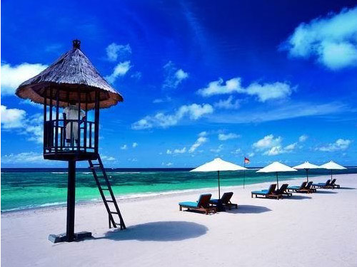 ��Ʒ������