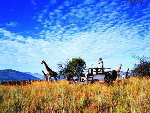 ��Ʒ������