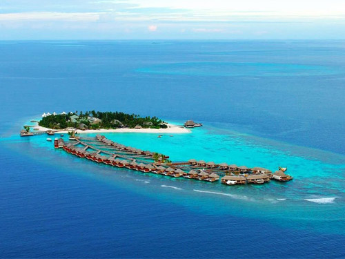 ��Ʒ������