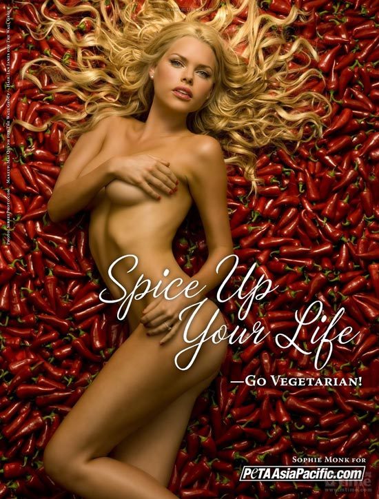 ��������һ��