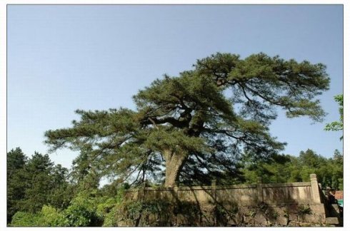 �й�ʮ������