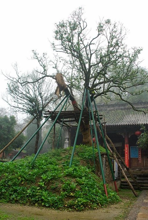 �й�ʮ������