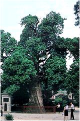 �й�ʮ������