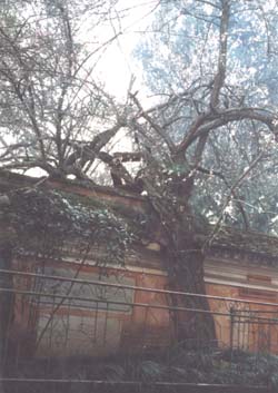 �й�ʮ������