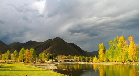 ��Ʒ������