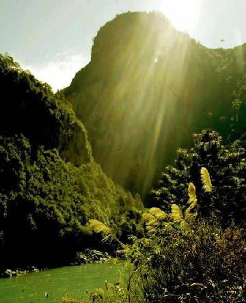 ��Ʒ������