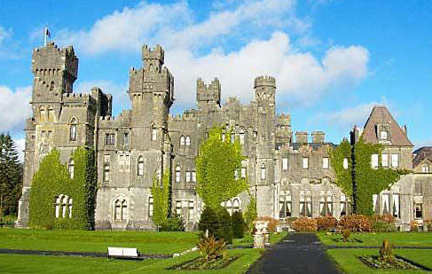 ��Ʒ������