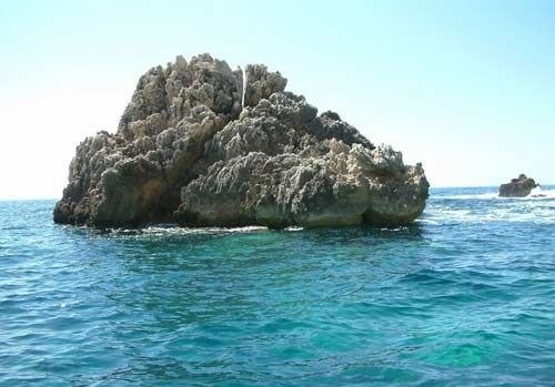 ��Ʒ������