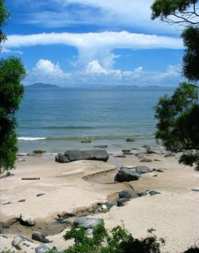 ��Ʒ������