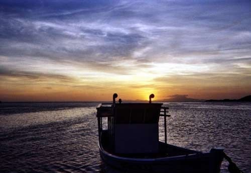 ��Ʒ������