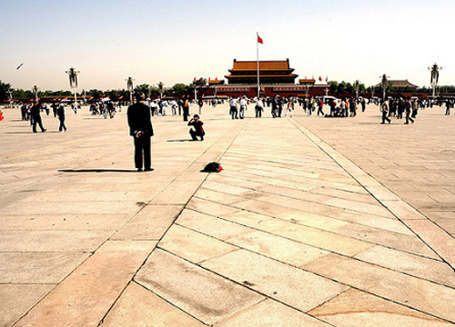 ��Ʒ������