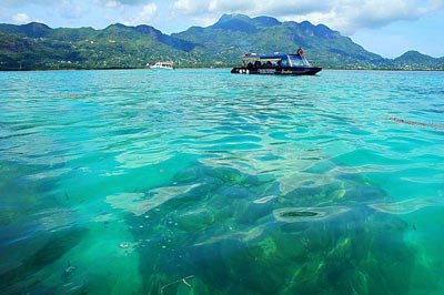 ��Ʒ������