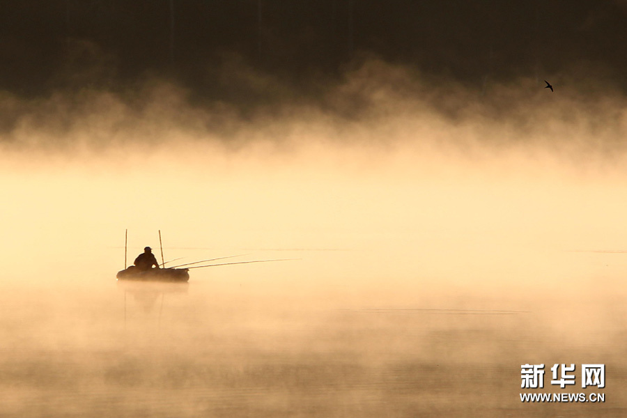 ��Ʒ������