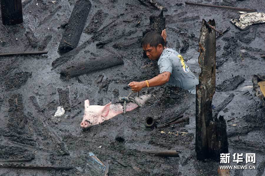 ��Ʒ������