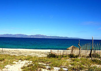 ��Ʒ������