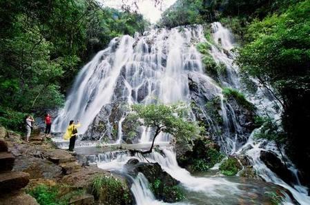 ��Ʒ������