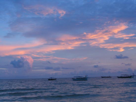 ��Ʒ������