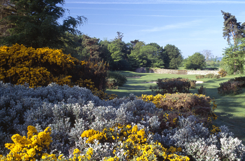 ��Ʒ������