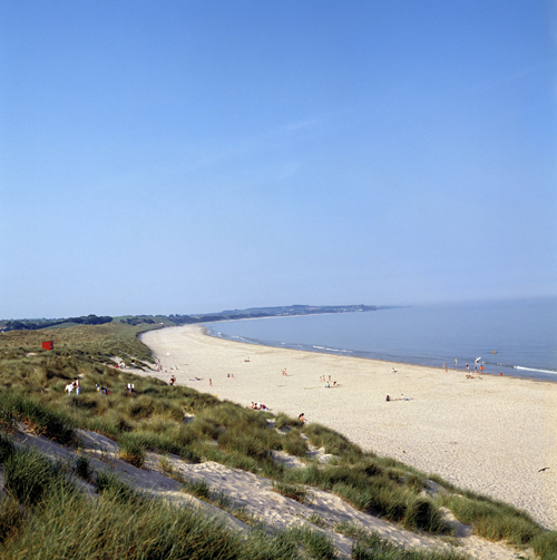 ��Ʒ������