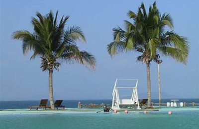 ��Ʒ������