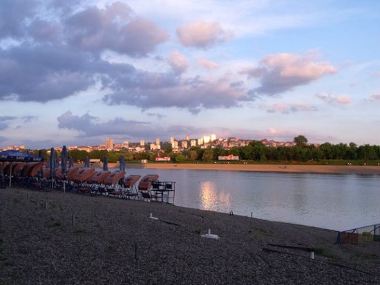 ��Ʒ������