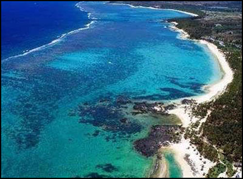 ��Ʒ������