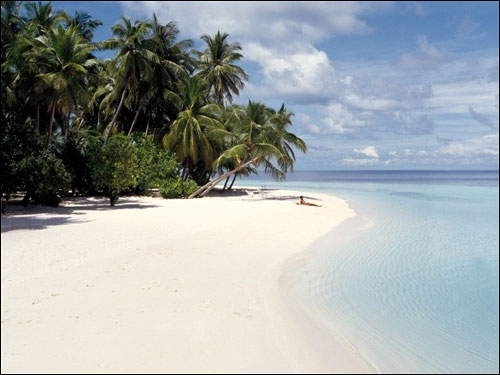 ��Ʒ������