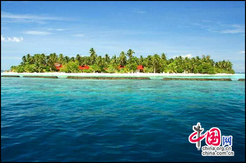 ��Ʒ������