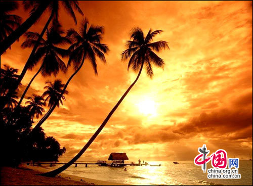 ��Ʒ������