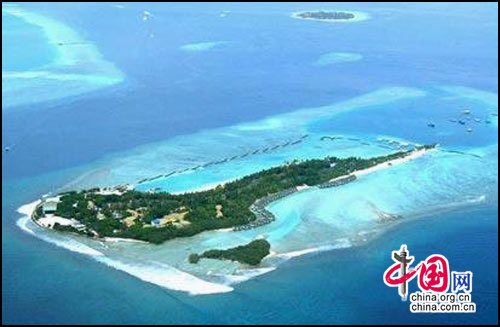 ��Ʒ������