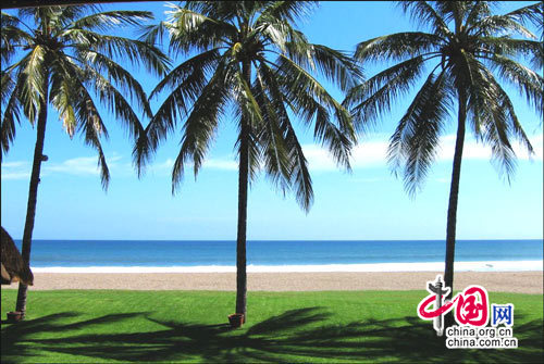 ��Ʒ������