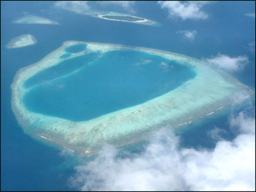 ��Ʒ������