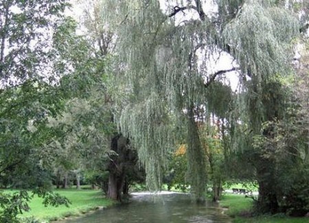 ��Ʒ������