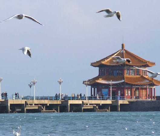 ��Ʒ������