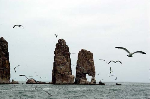 ��Ʒ������