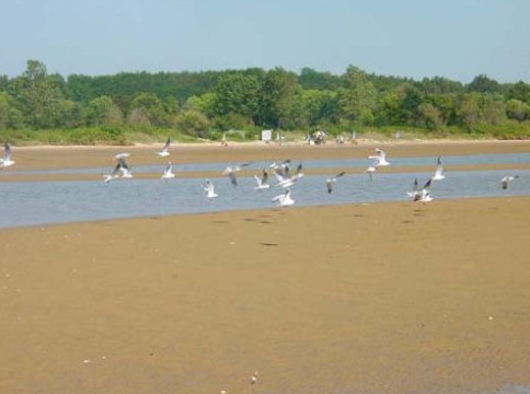 ��Ʒ������