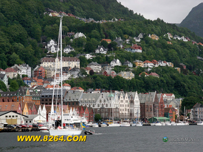 ��Ʒ������