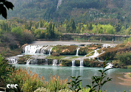 ��ƽ�����ٲ�Ⱥ