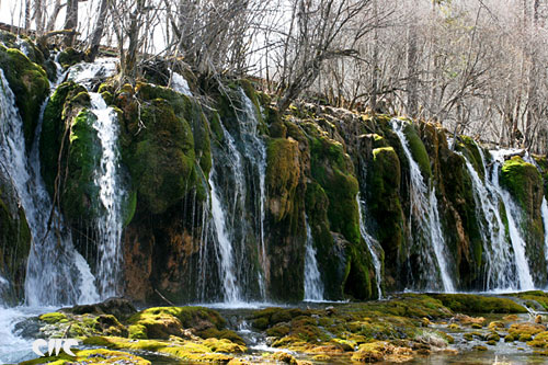 ��կ����è���ٲ�