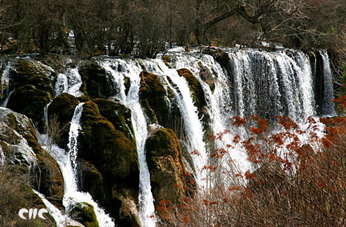 ��կ�������ٲ�