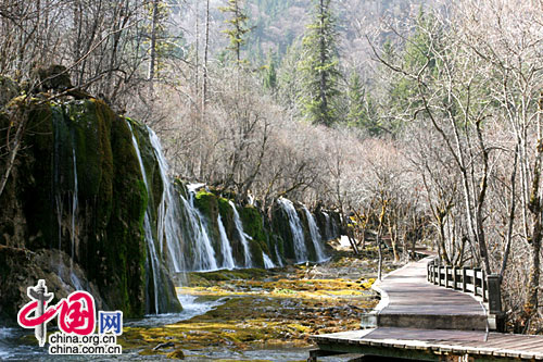 ��կ����è���ٲ�