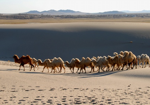 ��Ʒ������